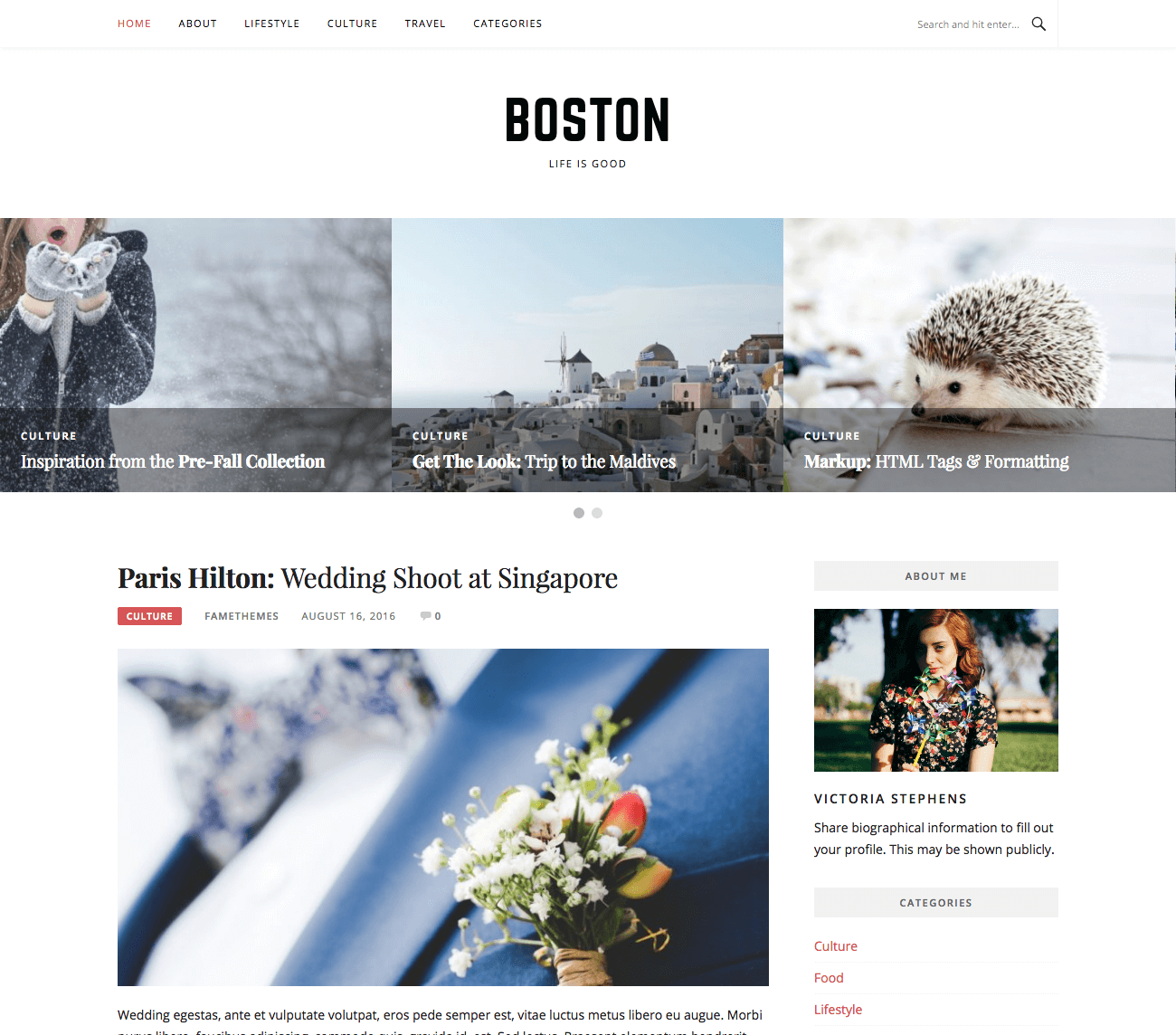 Boston WordPress Theme