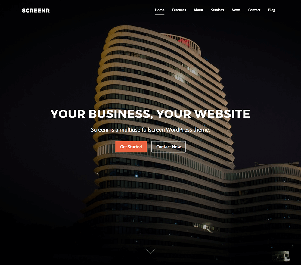 Screenr WordPress Theme
