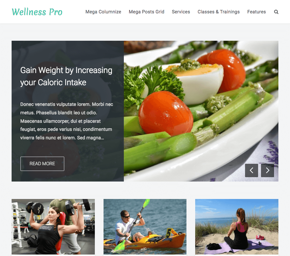 Wellness Pro WordPress Theme