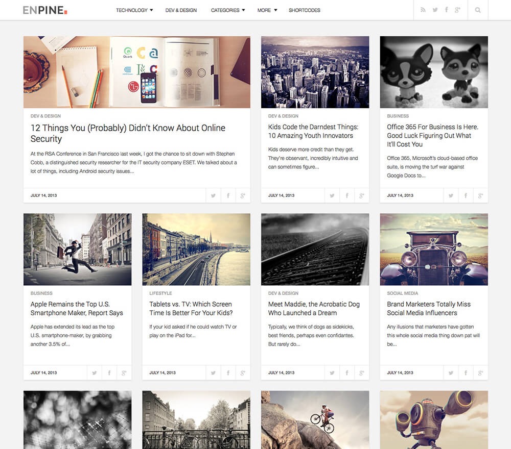 Enpine WordPress Theme